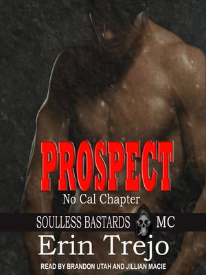cover image of Prospect